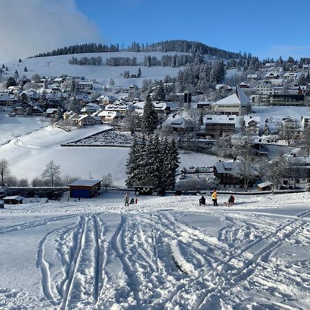 Haus Am Sonnenberg,Todtnauberg, Ferienwohnung 002, Direkt Am Skilift-Skipiste, Naehe Feldberg Kültér fotó