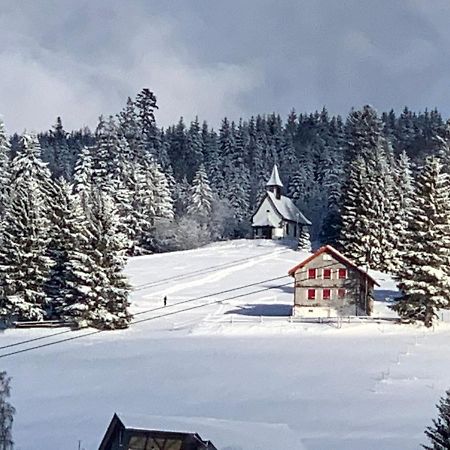 Haus Am Sonnenberg,Todtnauberg, Ferienwohnung 002, Direkt Am Skilift-Skipiste, Naehe Feldberg Kültér fotó