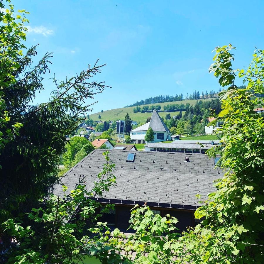 Haus Am Sonnenberg,Todtnauberg, Ferienwohnung 002, Direkt Am Skilift-Skipiste, Naehe Feldberg Kültér fotó