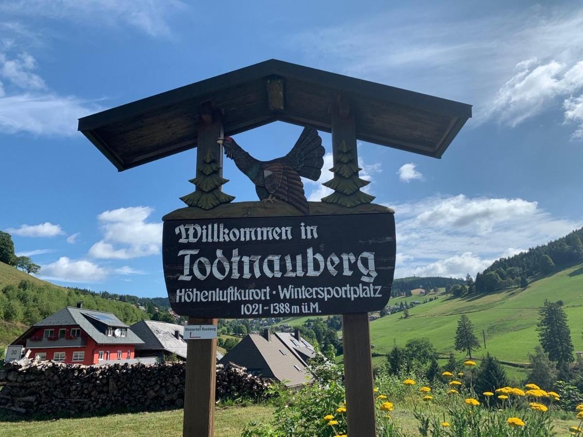 Haus Am Sonnenberg,Todtnauberg, Ferienwohnung 002, Direkt Am Skilift-Skipiste, Naehe Feldberg Kültér fotó