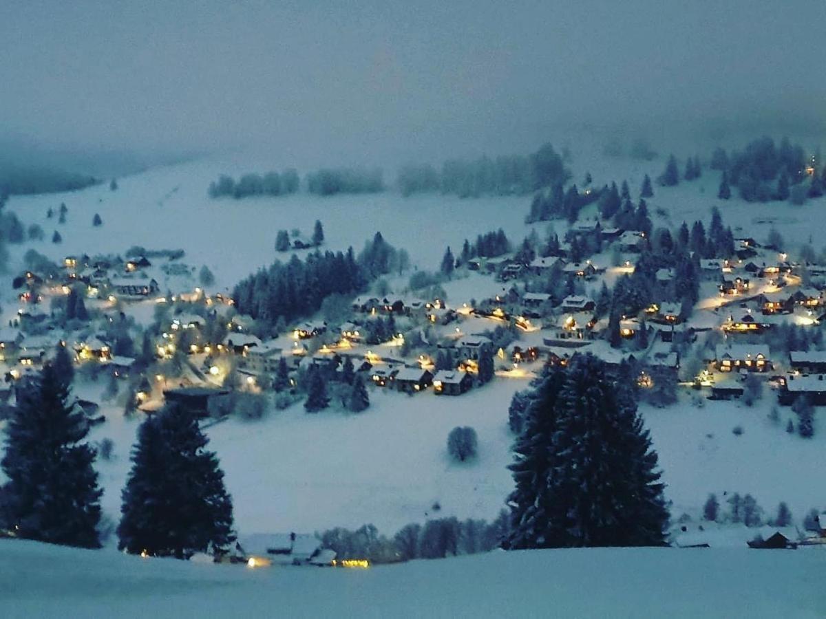 Haus Am Sonnenberg,Todtnauberg, Ferienwohnung 002, Direkt Am Skilift-Skipiste, Naehe Feldberg Kültér fotó