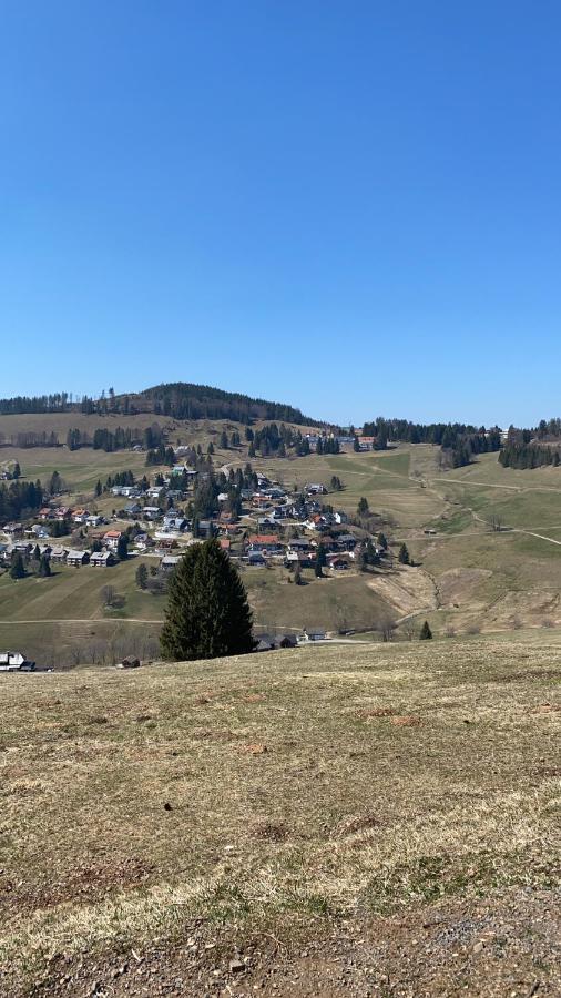 Haus Am Sonnenberg,Todtnauberg, Ferienwohnung 002, Direkt Am Skilift-Skipiste, Naehe Feldberg Kültér fotó
