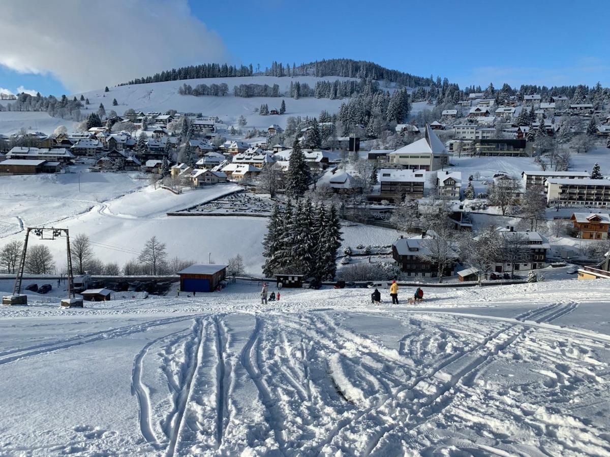 Haus Am Sonnenberg,Todtnauberg, Ferienwohnung 002, Direkt Am Skilift-Skipiste, Naehe Feldberg Kültér fotó