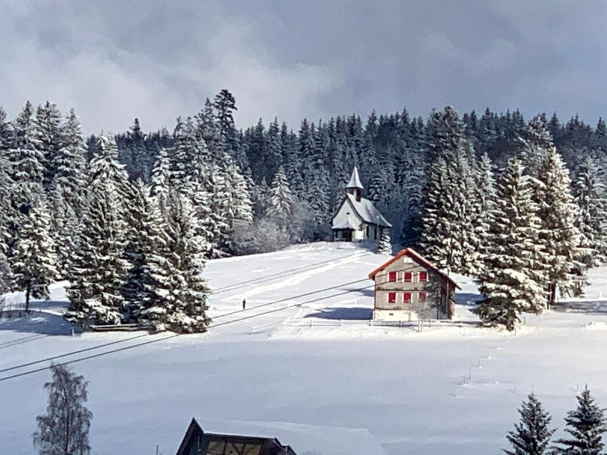 Haus Am Sonnenberg,Todtnauberg, Ferienwohnung 002, Direkt Am Skilift-Skipiste, Naehe Feldberg Kültér fotó