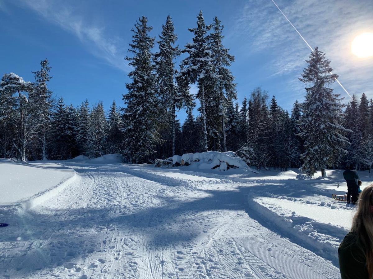 Haus Am Sonnenberg,Todtnauberg, Ferienwohnung 002, Direkt Am Skilift-Skipiste, Naehe Feldberg Kültér fotó