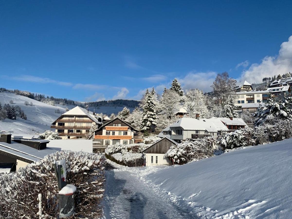 Haus Am Sonnenberg,Todtnauberg, Ferienwohnung 002, Direkt Am Skilift-Skipiste, Naehe Feldberg Kültér fotó